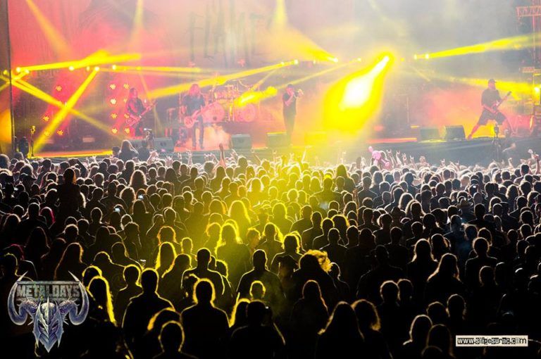 MEETINGS ROCK’N’ ROLL 6: PROVOCATION