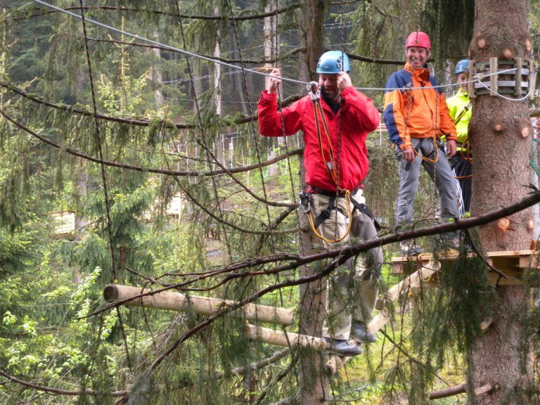 Special Venues: Hornpark Treetops Adventure