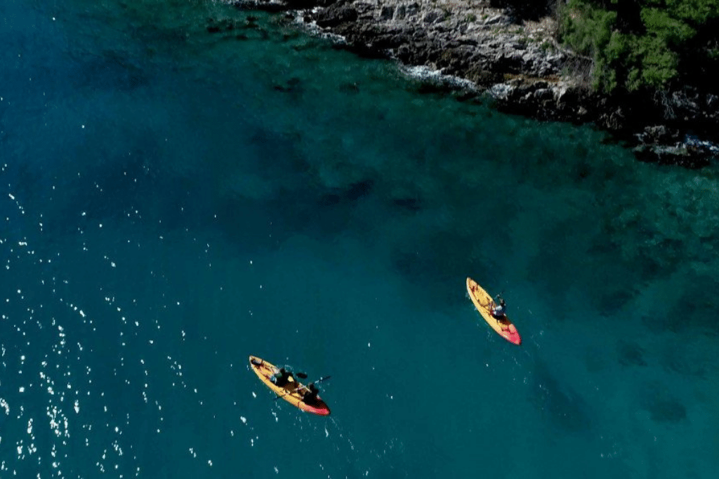 vitality_hotel_punta vitality_hotel_punta