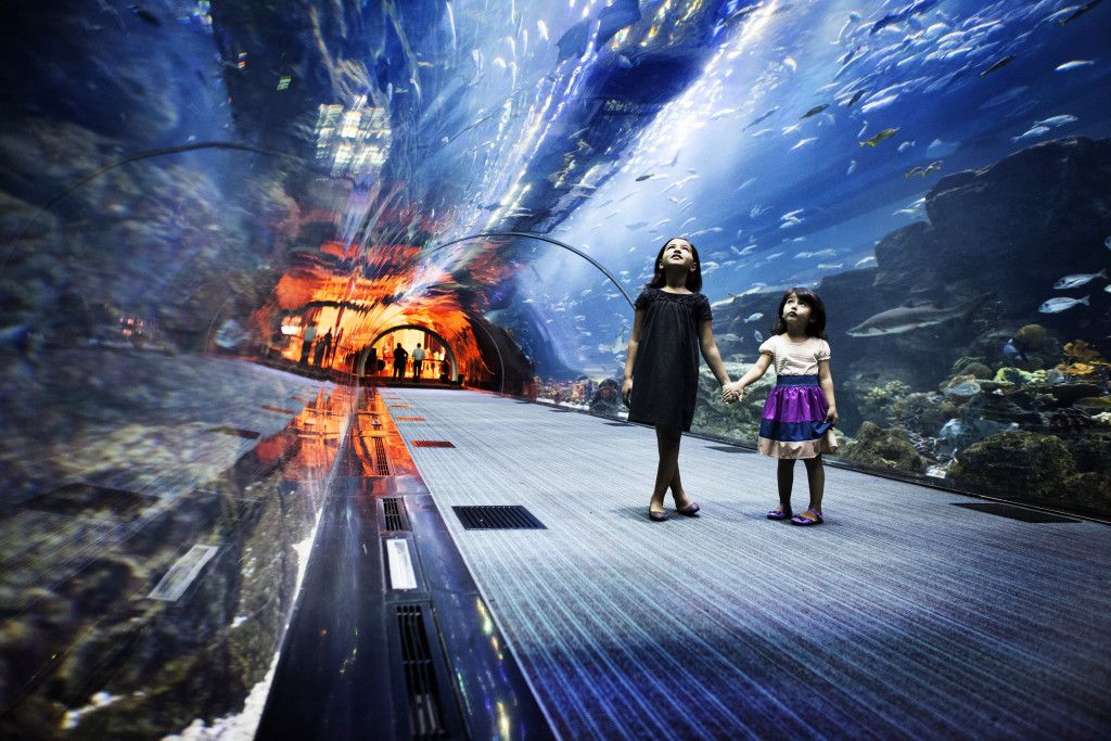 Attraction_Dubai Aquarium_Children looking up dubai-aquarium