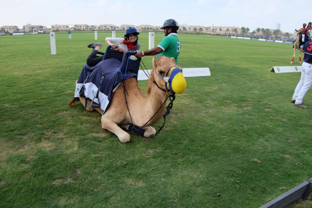 Dubai - Camel Polo
