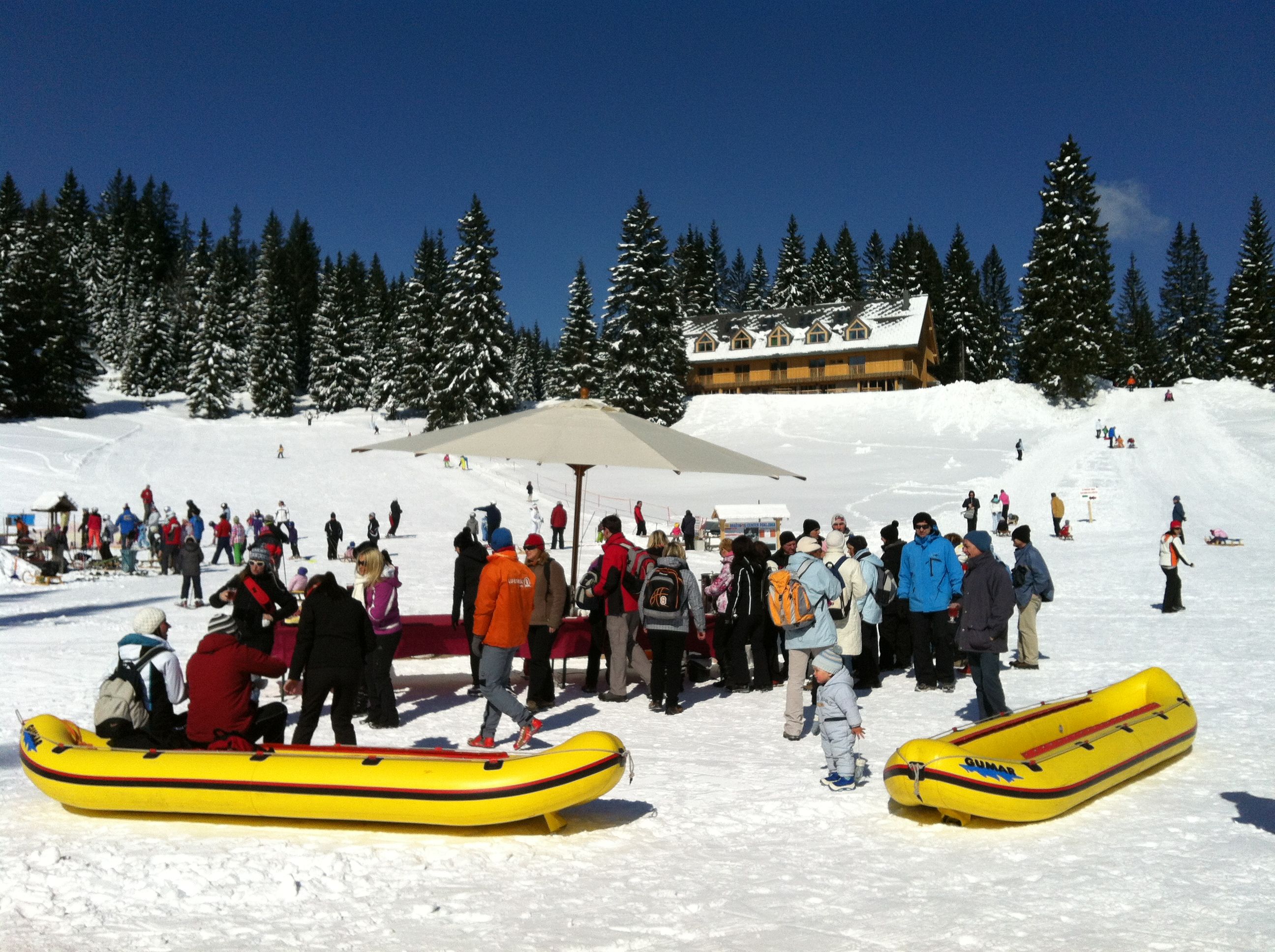 Pokljuka Bear