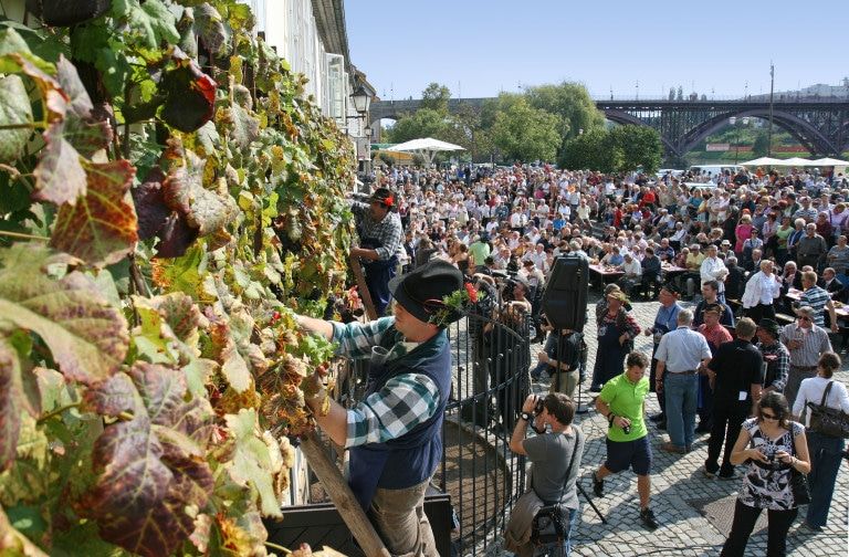 Special Venue: Old Vine House Maribor
