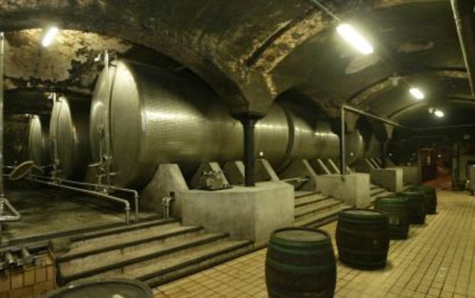 OFF THE BEATEN TRACK: Maribor’s another perspective
