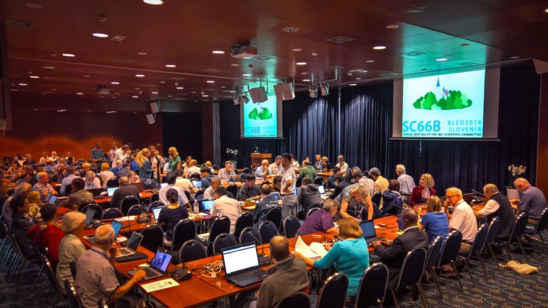 Scientific Committee of the IWC met in Bled