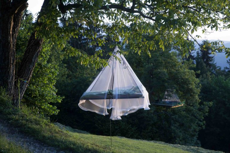 Experience Treetops