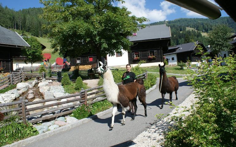 Incentive ideas on the Wörthersee