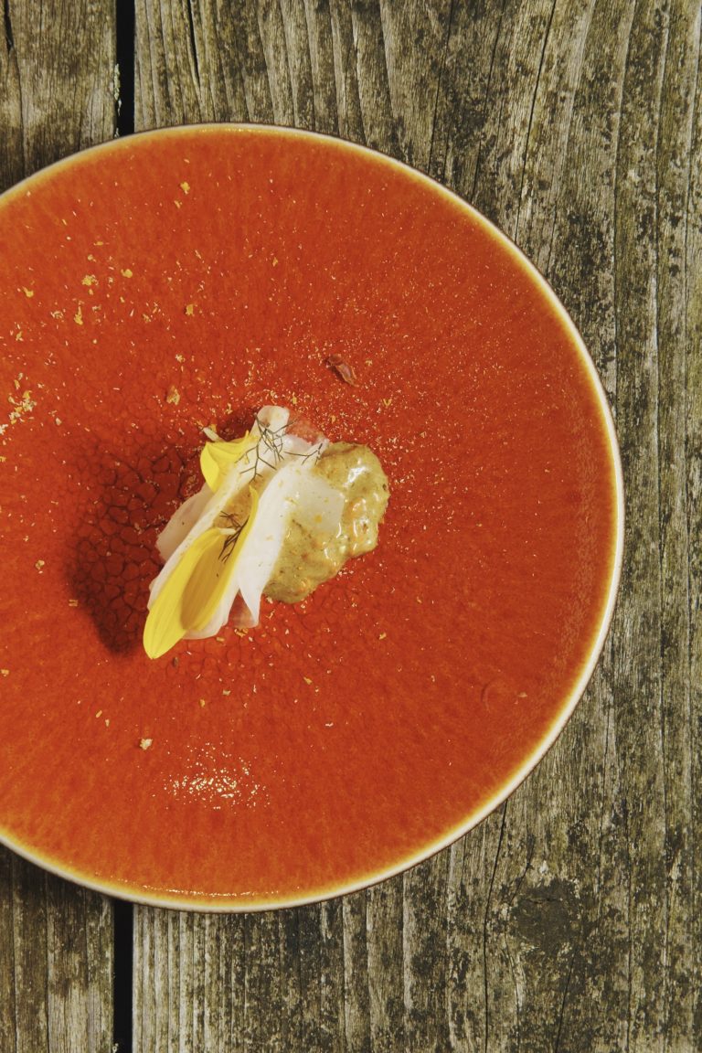 Slovenian gastronomy explored by world renowned chefs and opinion makers