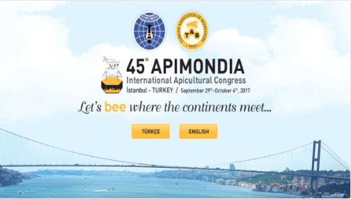 Istanbul is getting ready for APIMONDIA with 8.000 delegates
