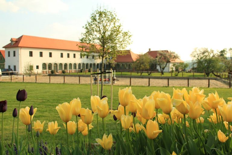 Special venue: Wieger’s Villa