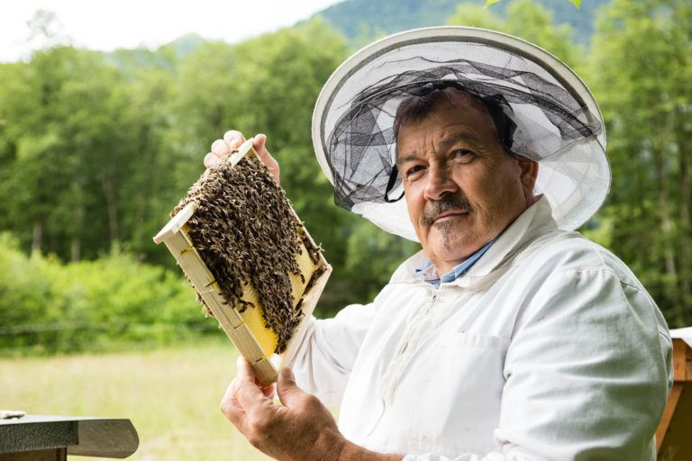 Carinthian Slow Food Journey