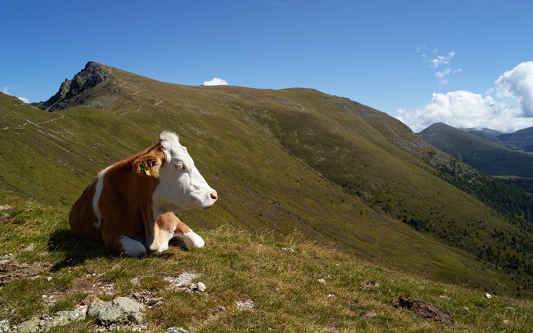 Biosphere Reserve Nockberge