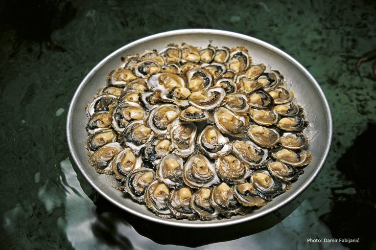 Lifestyle: Dubrovnik At The Table