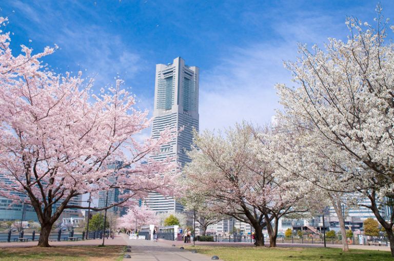 Yokohama to host the World Meeting on Sexual Medicine (WMSM) in 2020