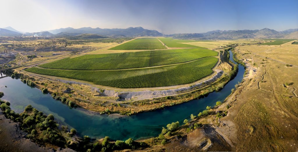 Plantaze-wineyards - photo courtesy - Tourism Board Podgorica (photographer Dusko Miljanic podgorica_montenegro