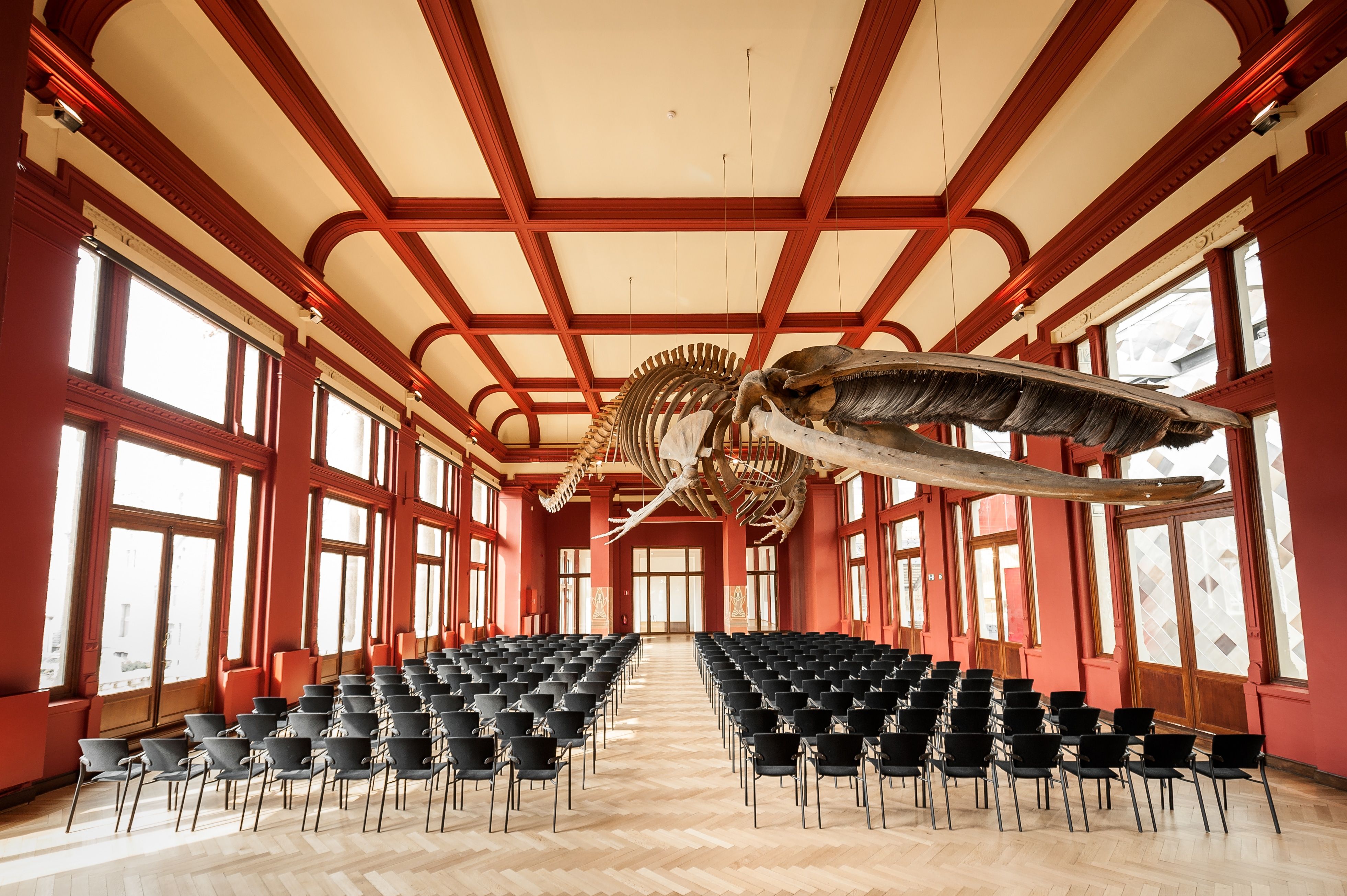 Flanders_Meeting_Convention_Center_Antwerp