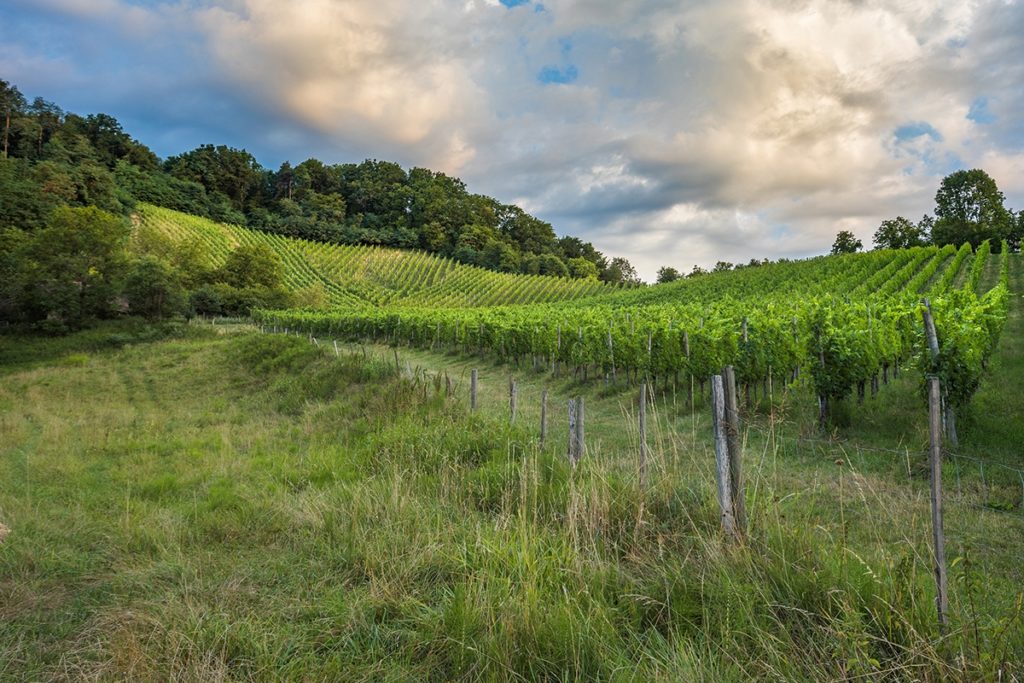 maribor_chateau_ramsak_glamping_resort