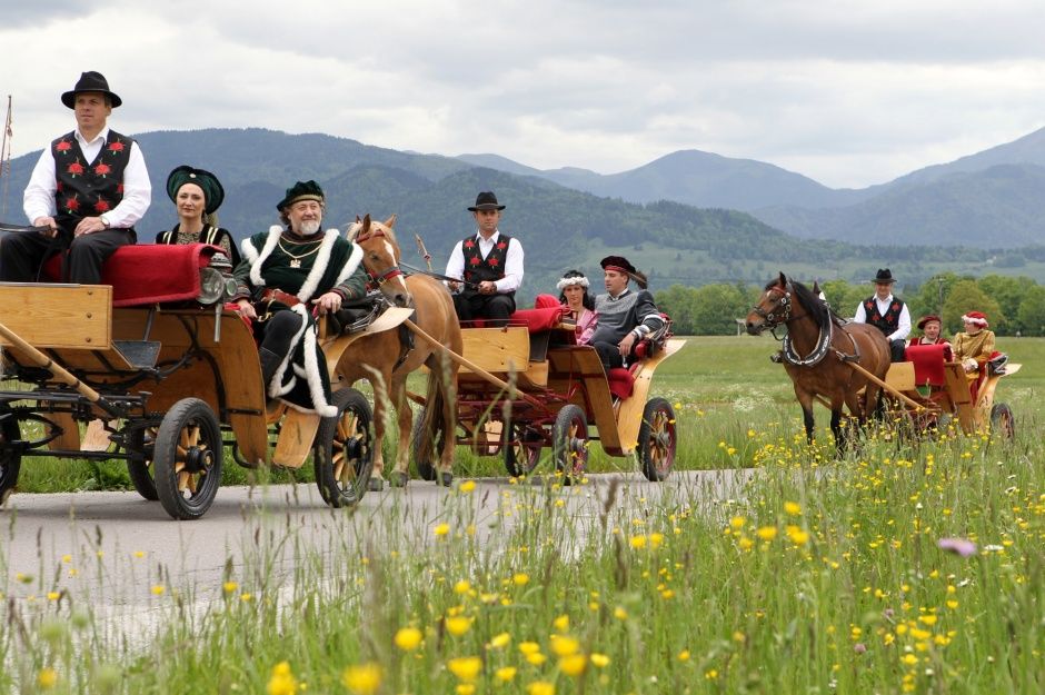 Bled_ horse_carriage_fjakarji1
