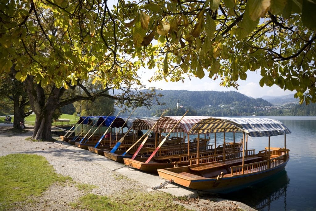 pletna_boat