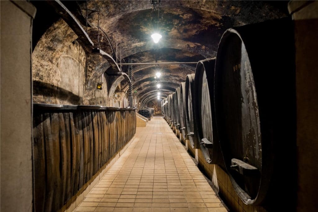 Maribor_Vinag