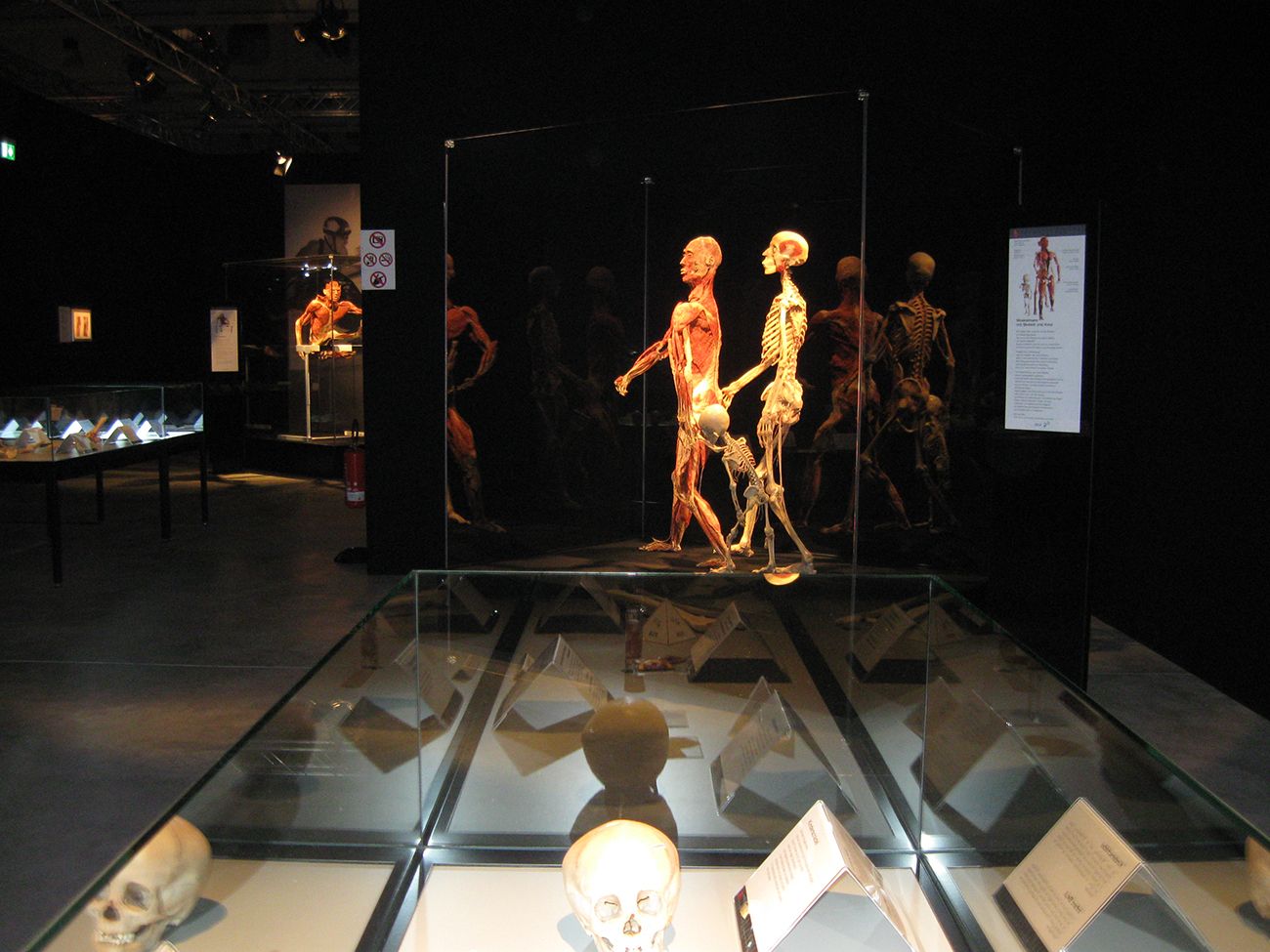 Body World