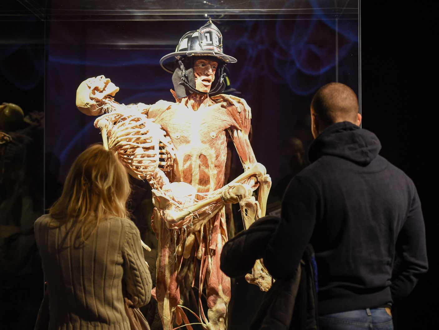 Body World