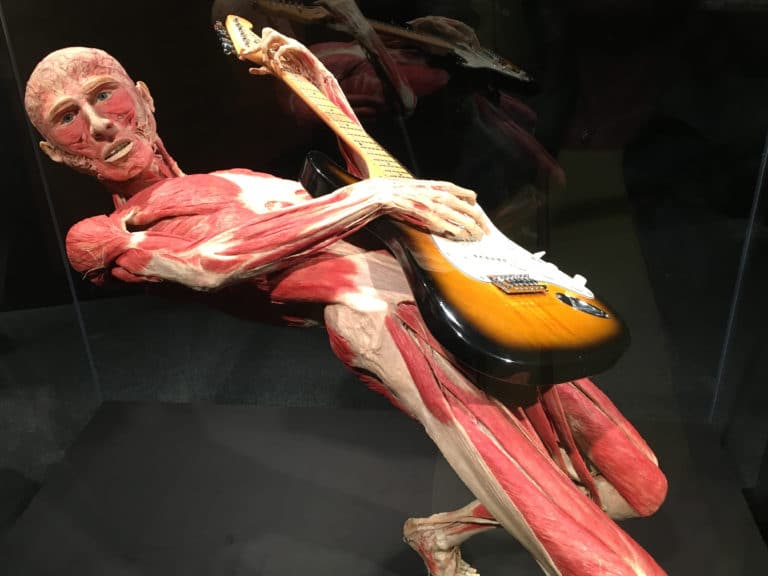 Exploring the mysteries of the human form