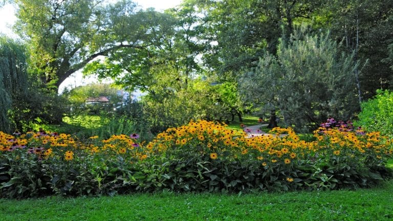 How green is your destination