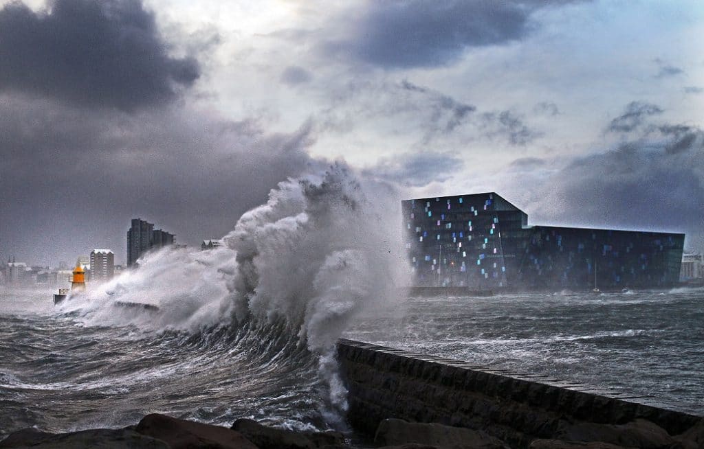 Iceland_Harpa Iceland