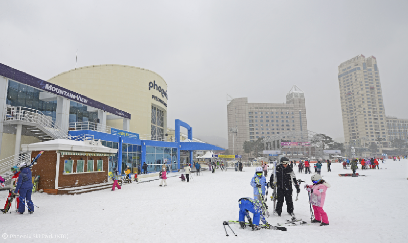skiing_in_korea