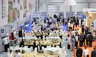adnec_group