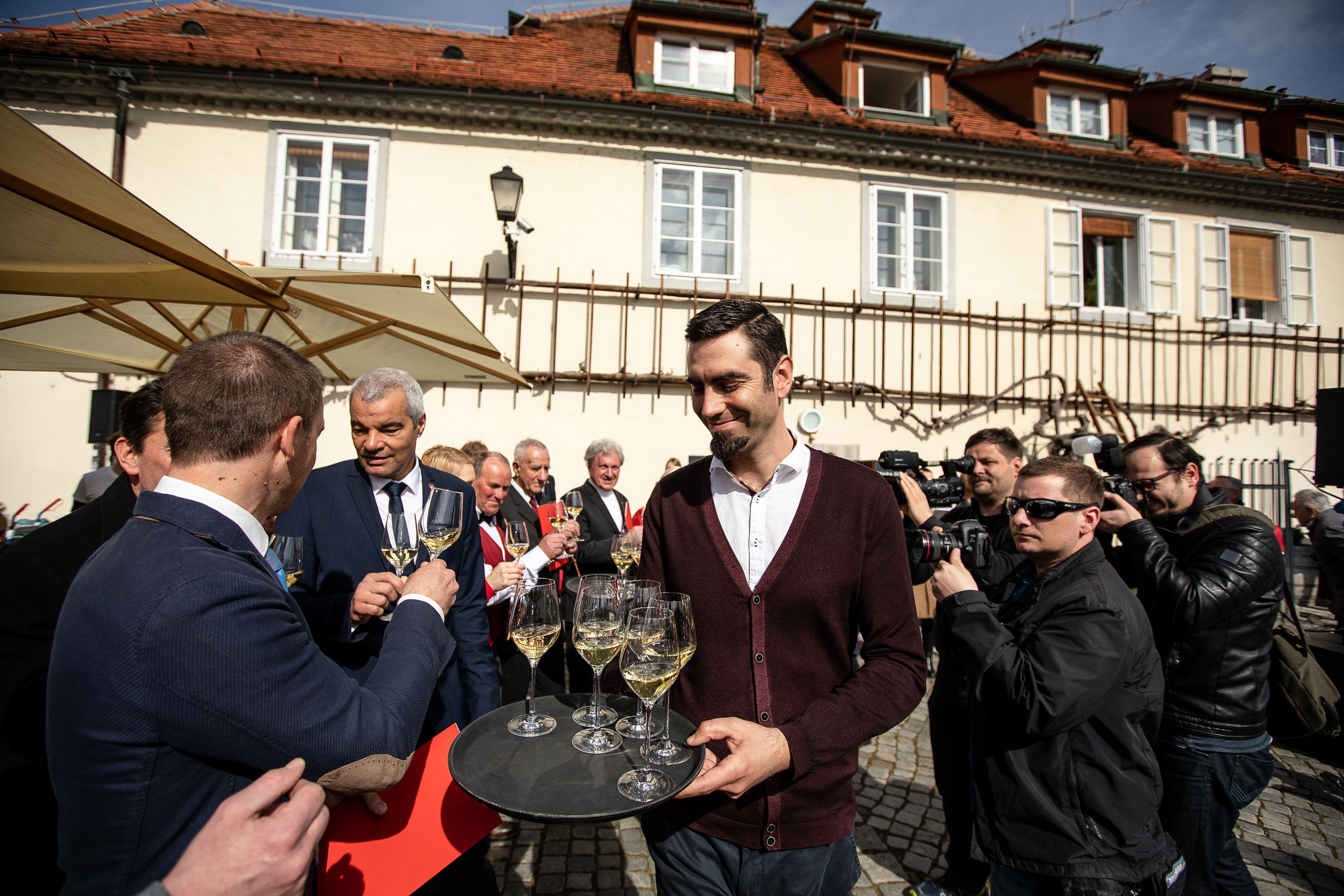 maribor_old_vine_pruning