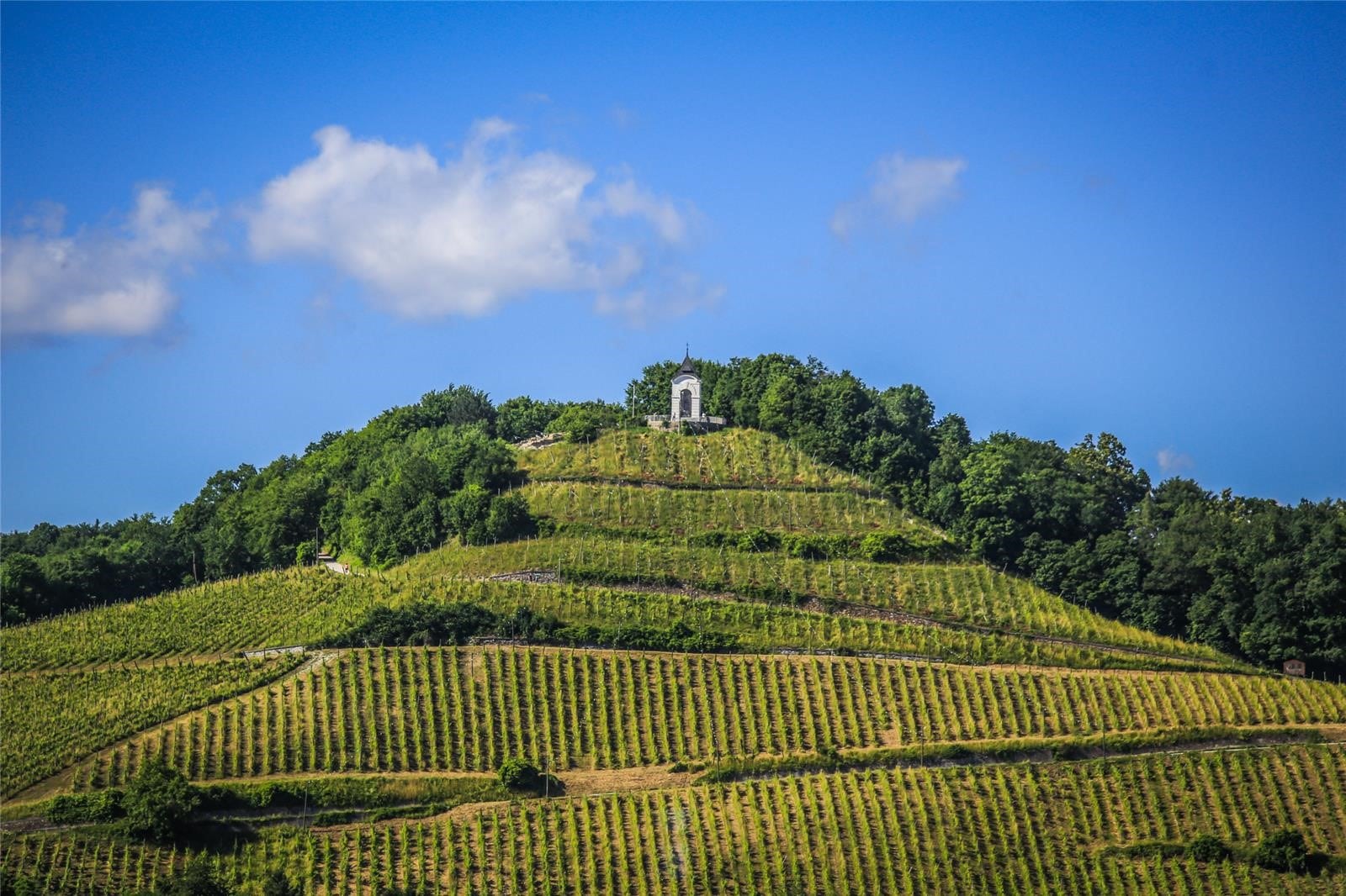 festival_of_walks_maribor