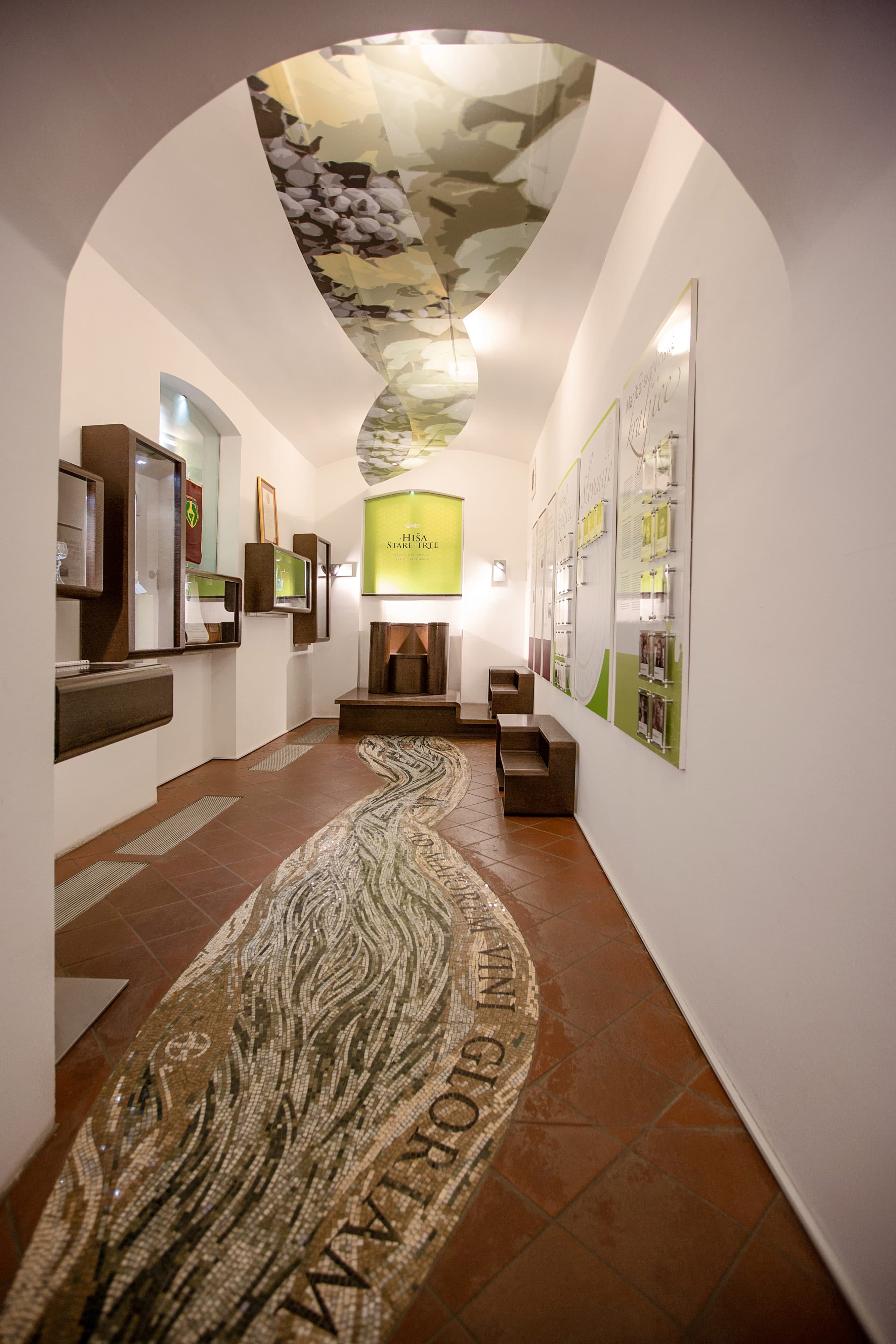 maribor_old_vine_house_mosaic