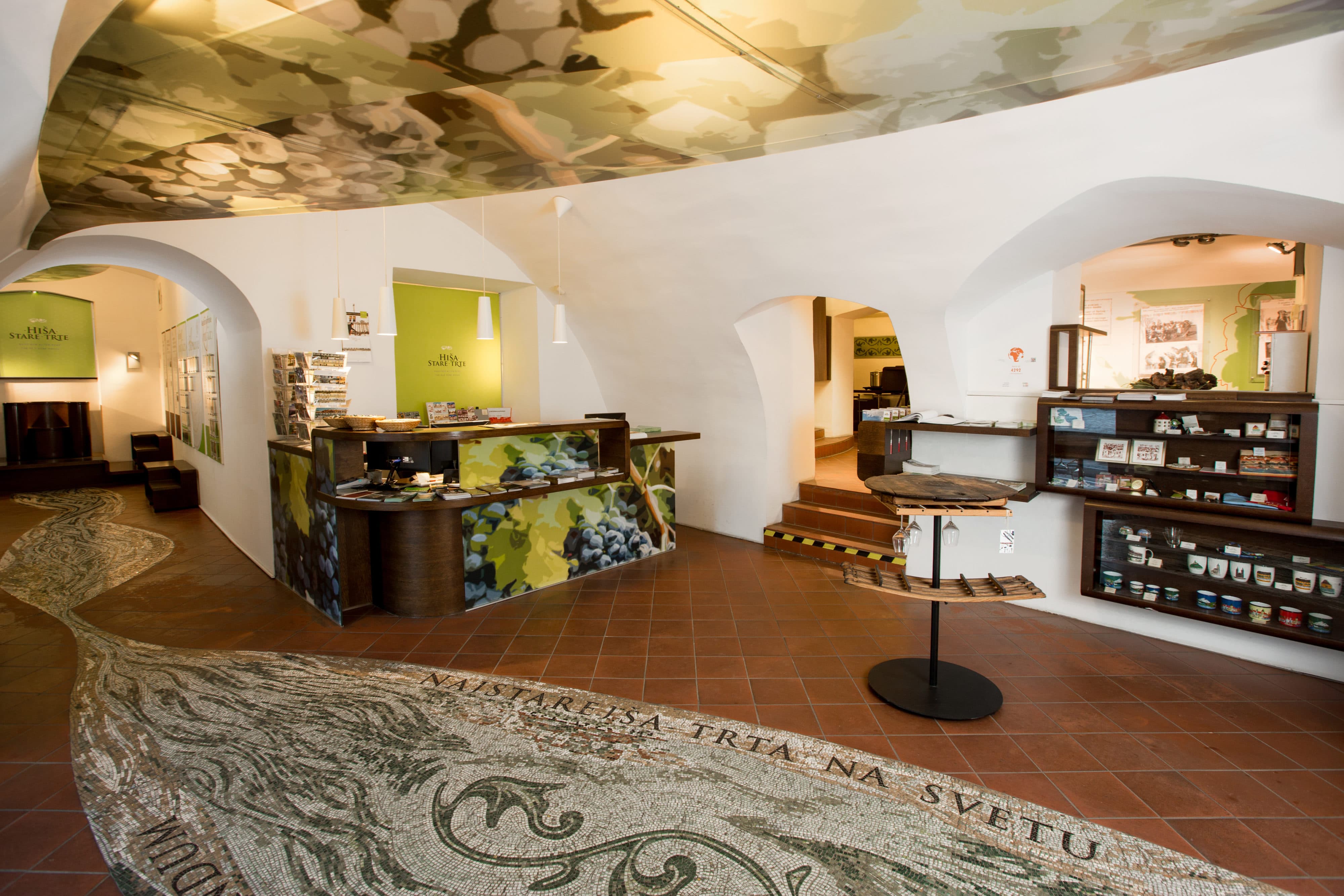 maribor_old_vine_house_mosaic