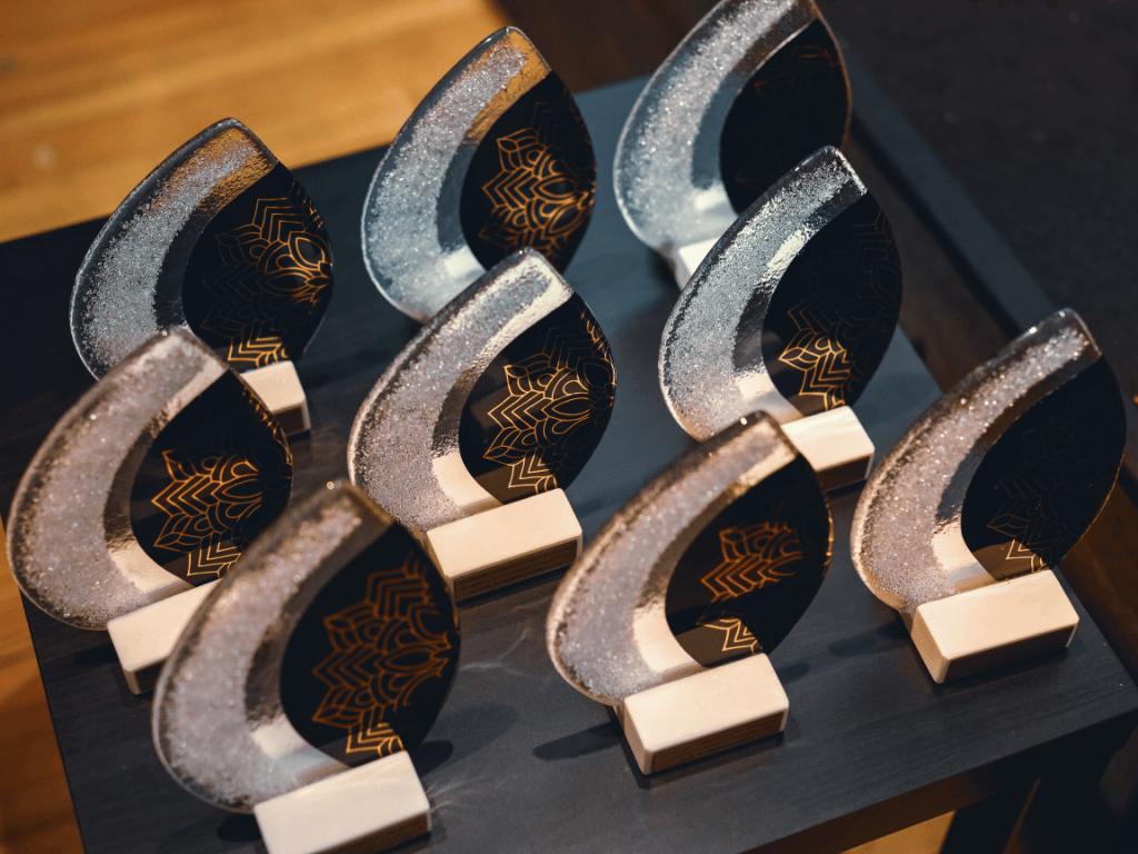 Slovenian Ambassadors Program - Awards