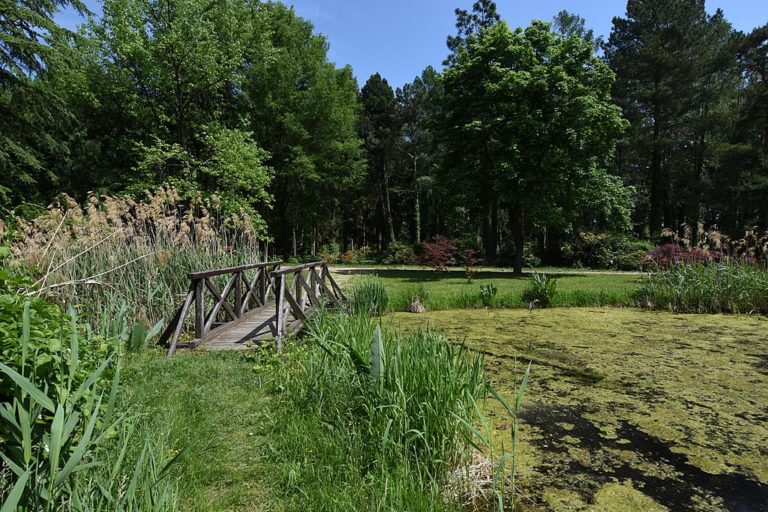 Special Venues: The Szombathely Arborétum