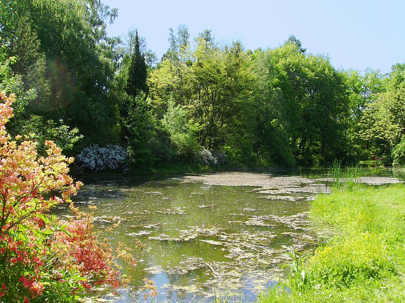 kamoni-arboretum-szombathely