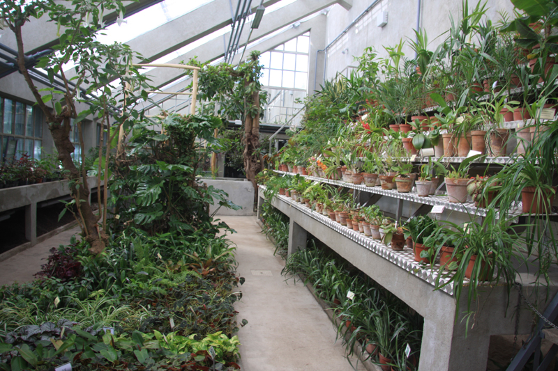 botanical_garden_ljubljana