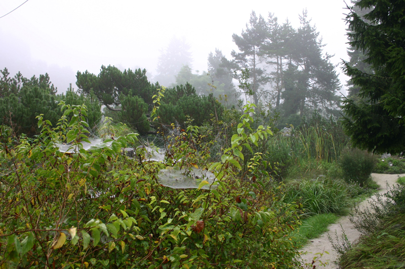 botanical_garden_ljubljana