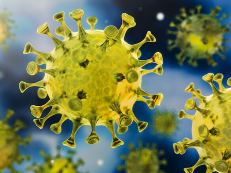 WHO Issues COVID-19 Coronavirus Event Planning Guide