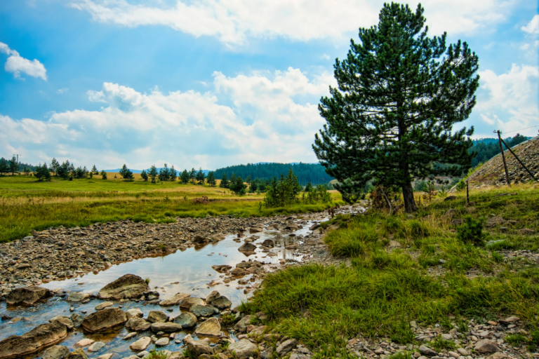 ZLATIBOR – MTLG 2020
