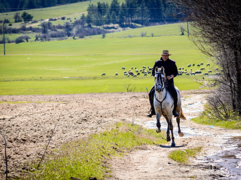 INCENTIVE: Horse Riding at Equestrian Centre Sivek