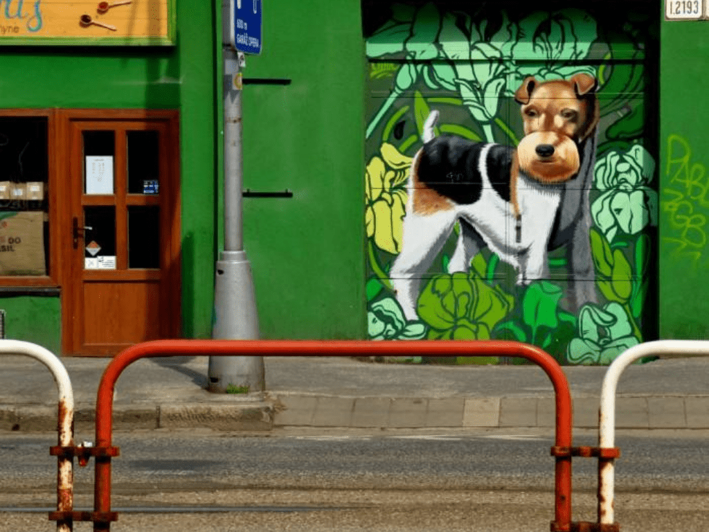 bratislava_slovakia