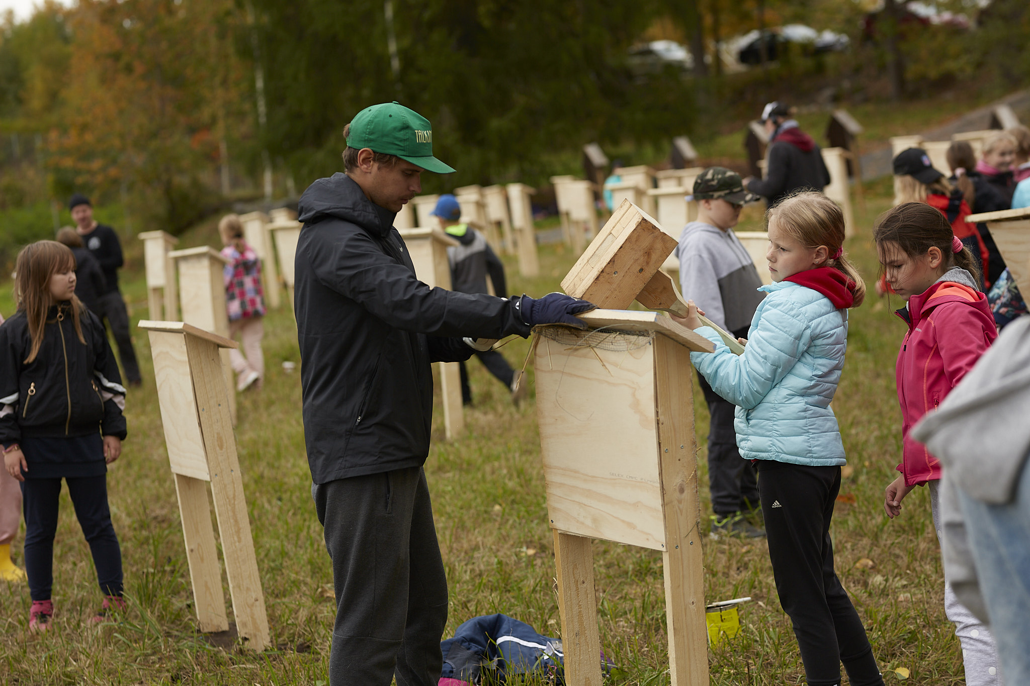 Bee_village-finland-air-bee-insect