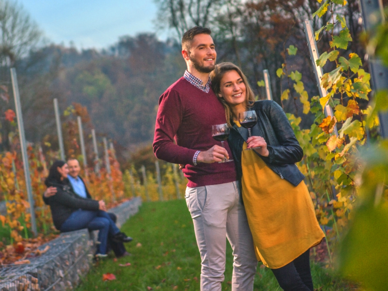 Autumn packages in Ljubljana