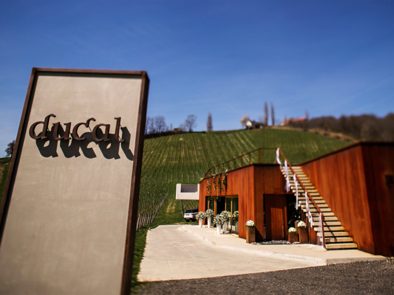 Special Venues: Ducal Winery