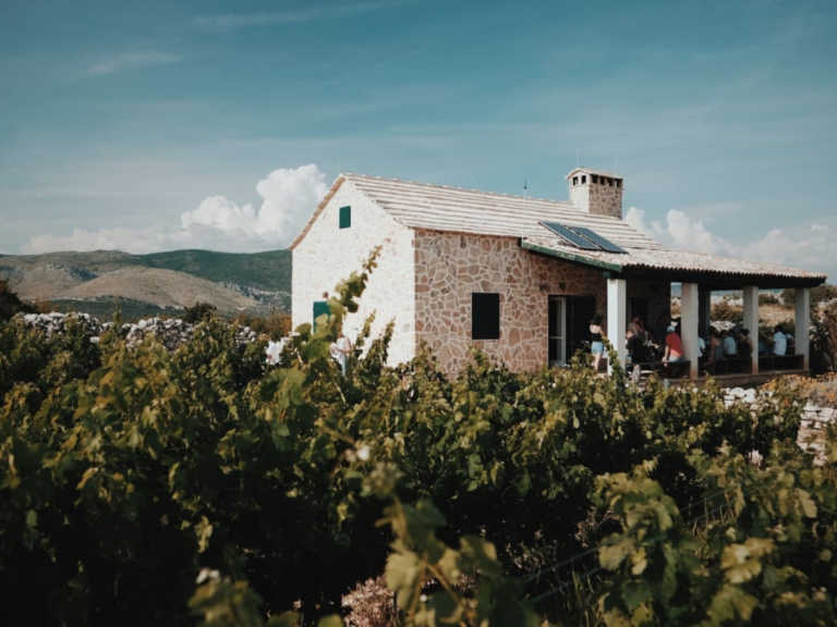 Special Venues: Kairos Vineyard
