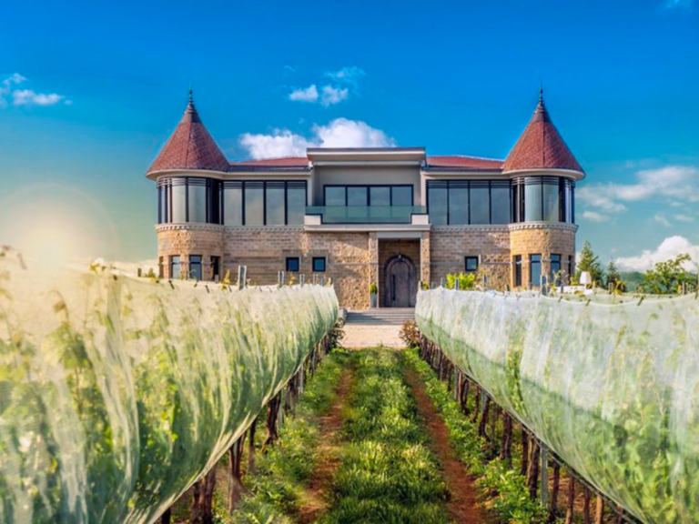 Special Venues: Kamnik Winery