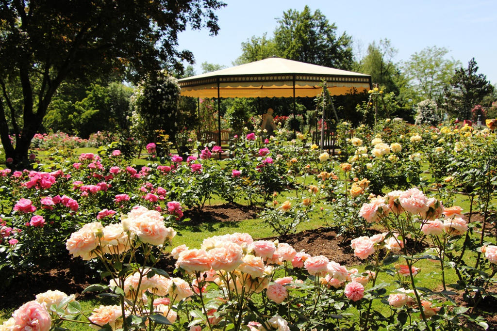 arboretum_volcji_potok